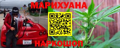 гидра Камышлов