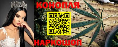 гидра Камышлов