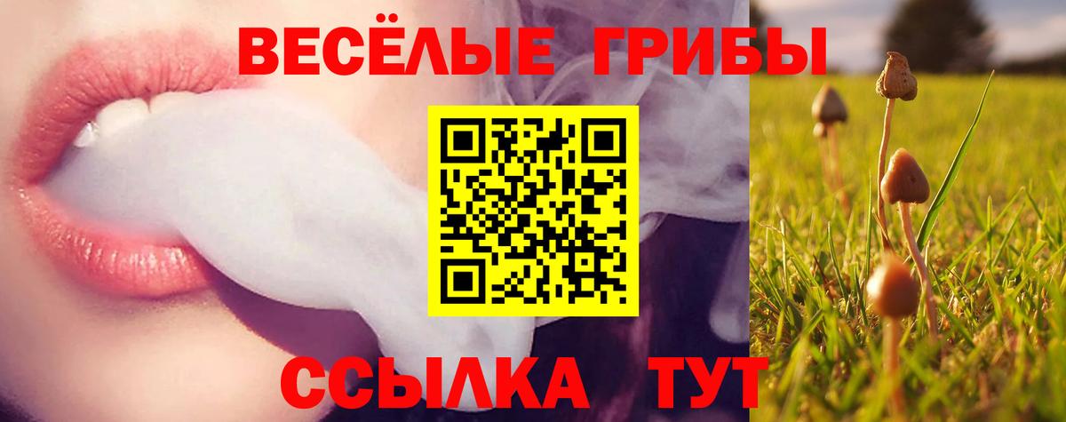 Галлюциногенные грибы Psilocybe  Вход с VPN  Кумертау 